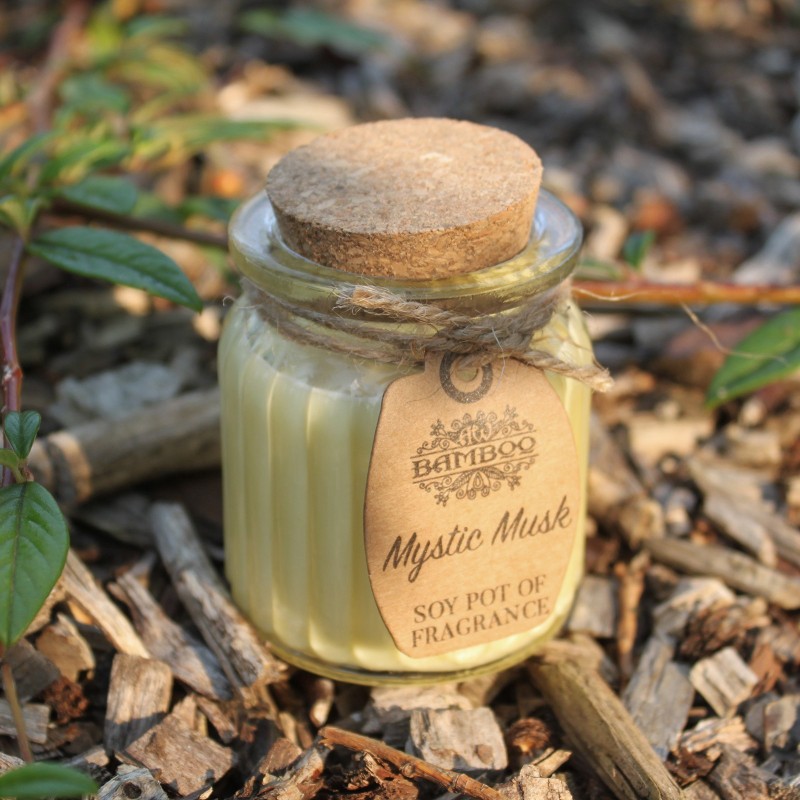 Petite bougie à la cire de soja — Musc mystique : Parfum doux et naturel
